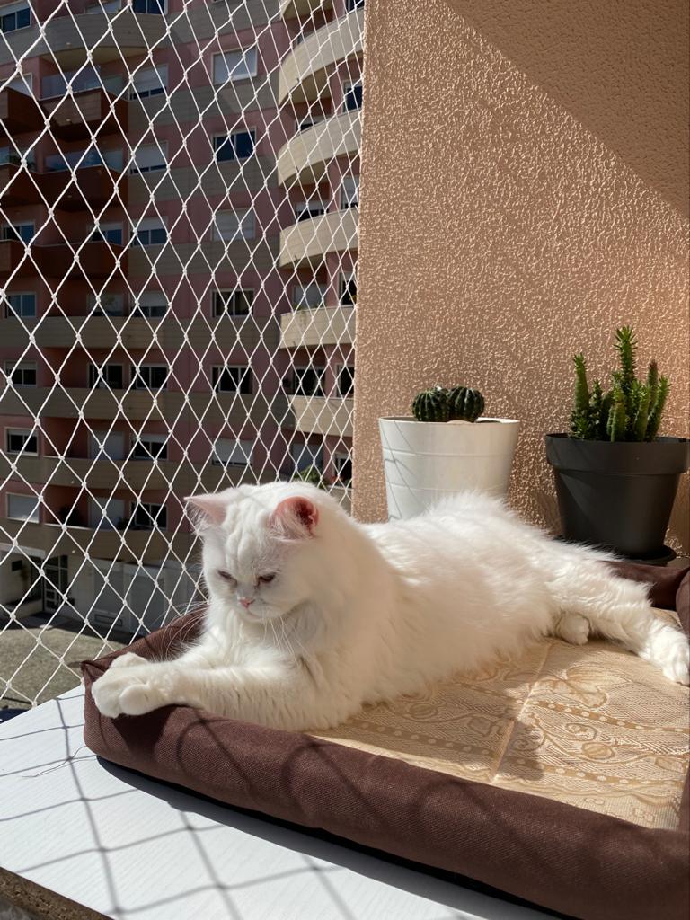 53135b11-148c-4820-b9e5-766aa950dc91