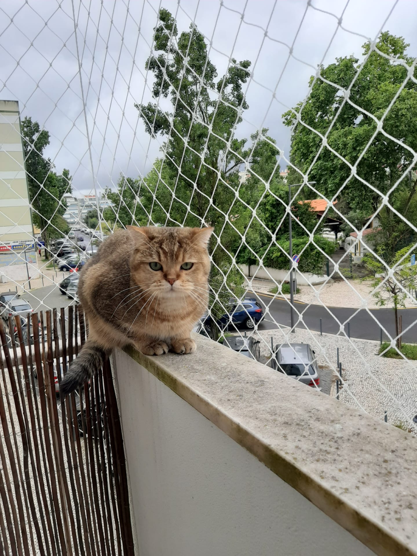 WhatsApp Image 2020-05-13 at 14.56.55 (1)