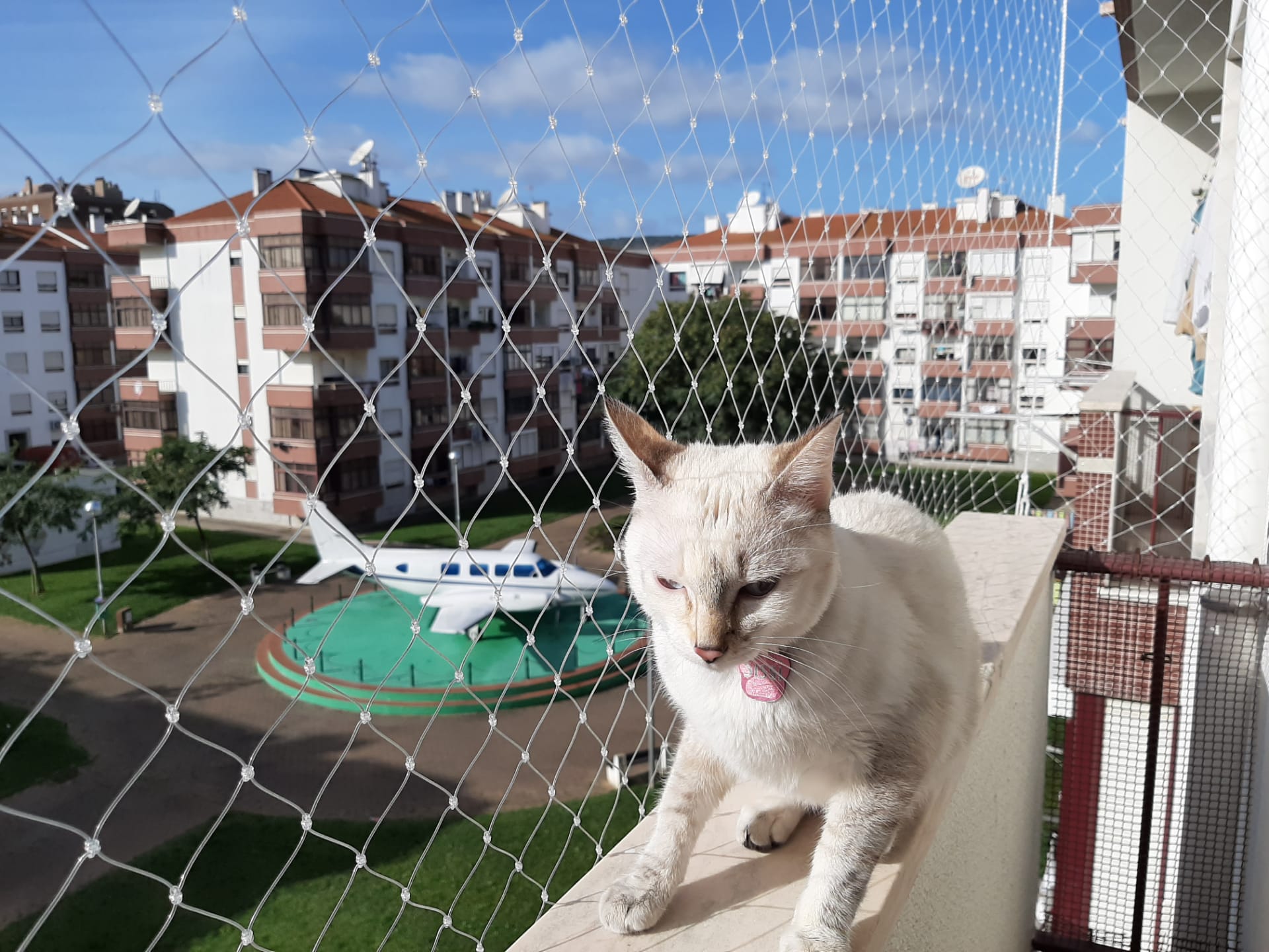 d976ed03-30e7-4dc2-a9ae-1c9b3f0de640 (1)