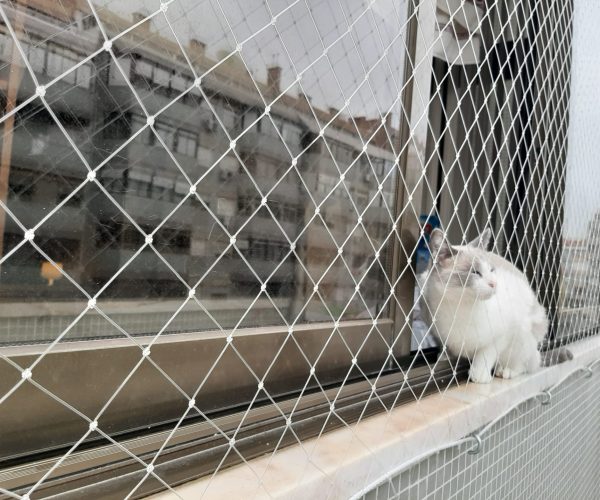 1685dcda-8fb8-4013-97bc-ca6bec64bba4