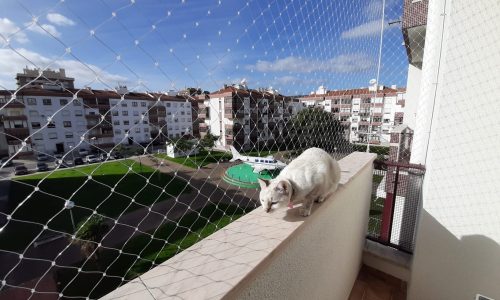 1e1b6dfe-84d2-4e42-8acb-2f2b35fbdc72