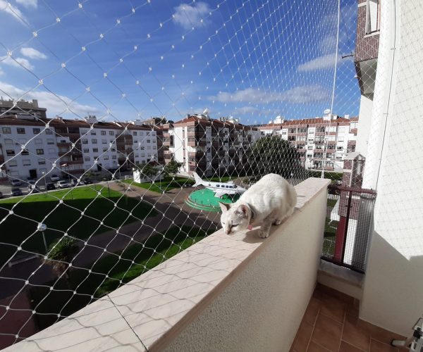 1e1b6dfe-84d2-4e42-8acb-2f2b35fbdc72