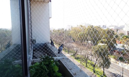 20180205_105544 - Cópia - Cópia (1)