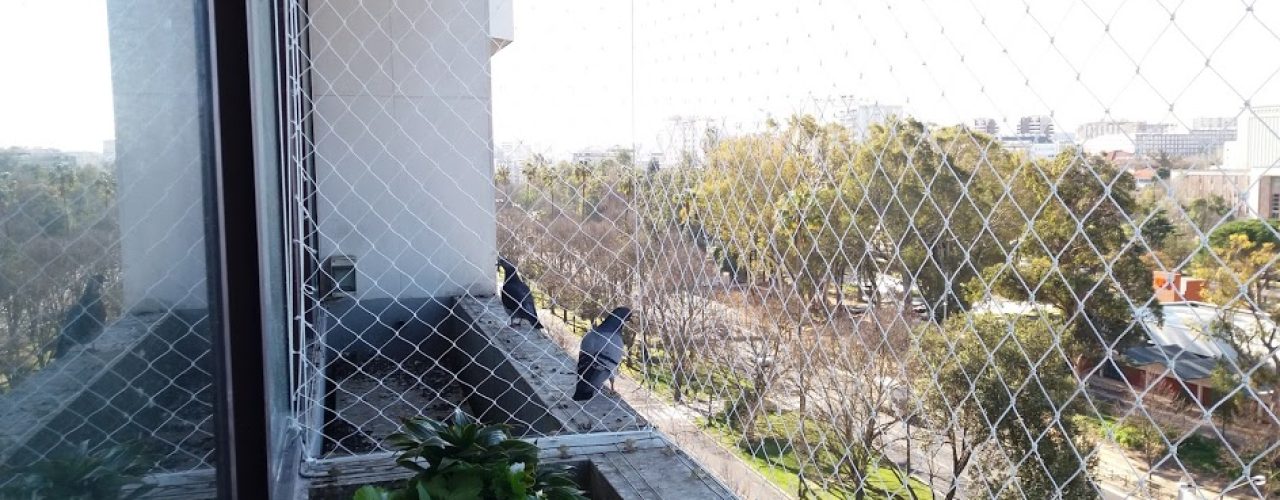 20180205_105544 - Cópia - Cópia (1)