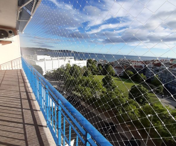 WhatsApp Image 2021-02-03 at 12.46.47