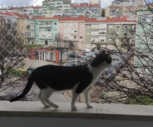 WhatsApp Image 2025-09-24 at 06.59.41