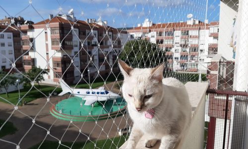 d976ed03-30e7-4dc2-a9ae-1c9b3f0de640 (1)