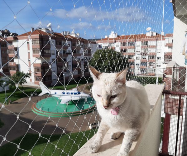 d976ed03-30e7-4dc2-a9ae-1c9b3f0de640 (1)